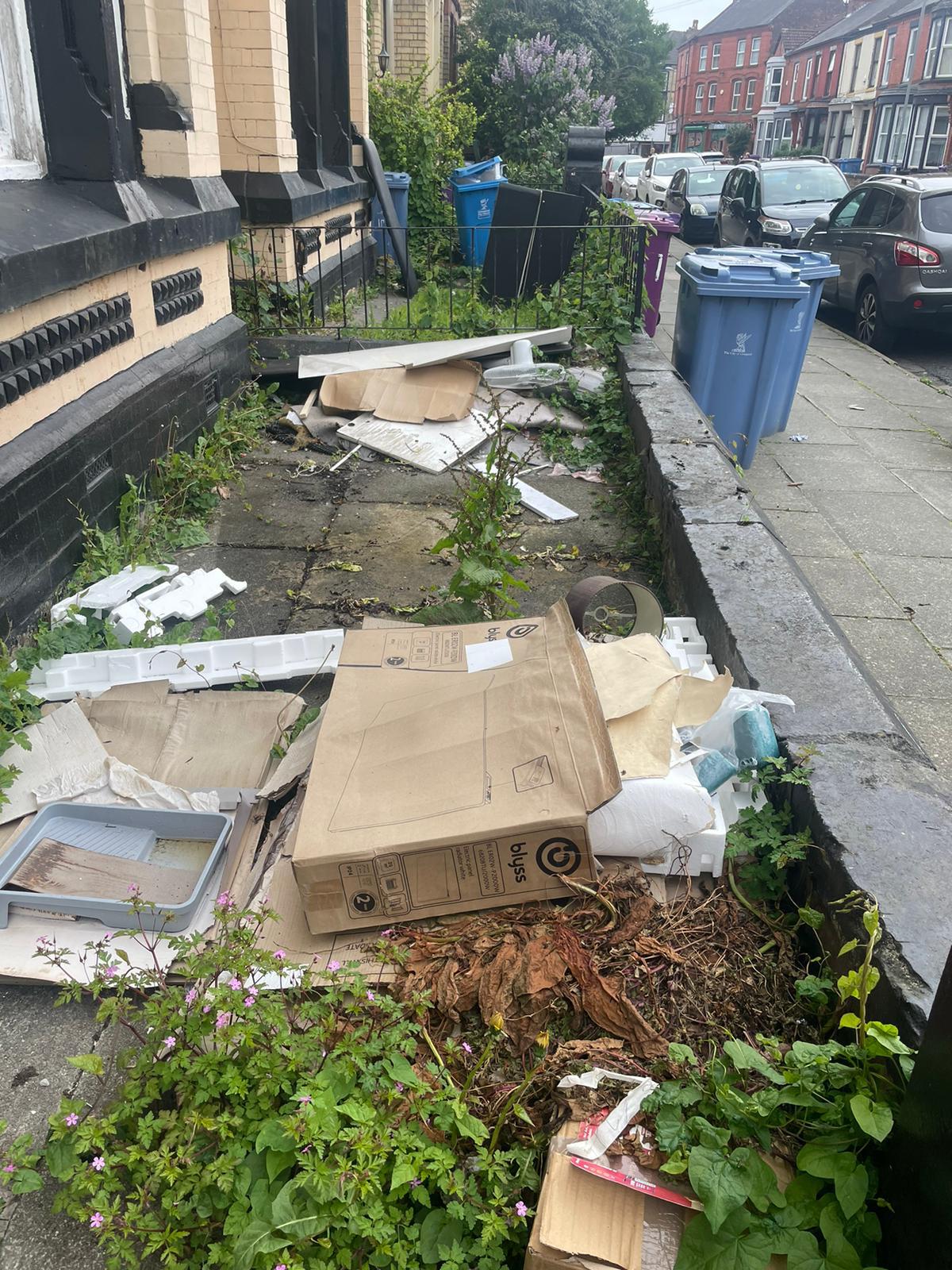 Before — Front Garden Clearance